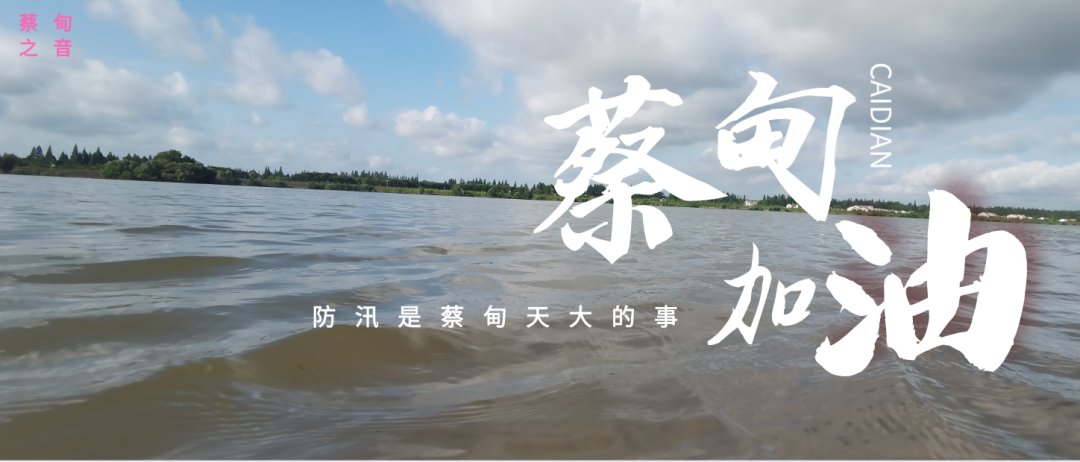 蔡甸區(qū)啟動防汛ⅰ級應(yīng)急響應(yīng)，做好鋪土釘防汛木樁工作