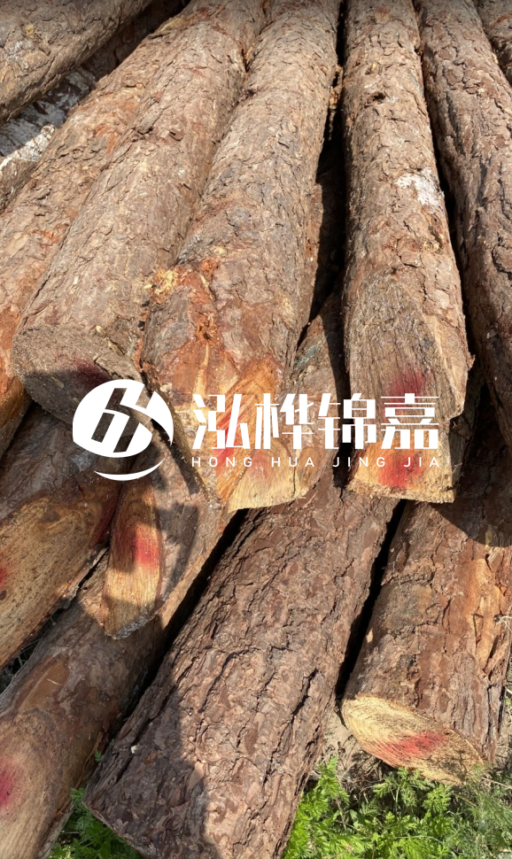 <strong>松木樁和杉木樁的用途區(qū)別？哪個更適合打樁用？</strong>