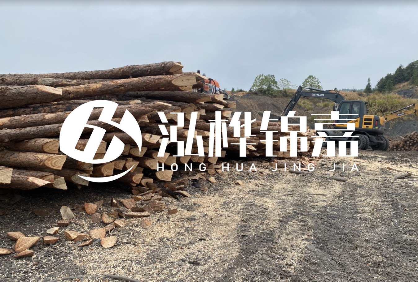 松木樁尾徑是什么意思？