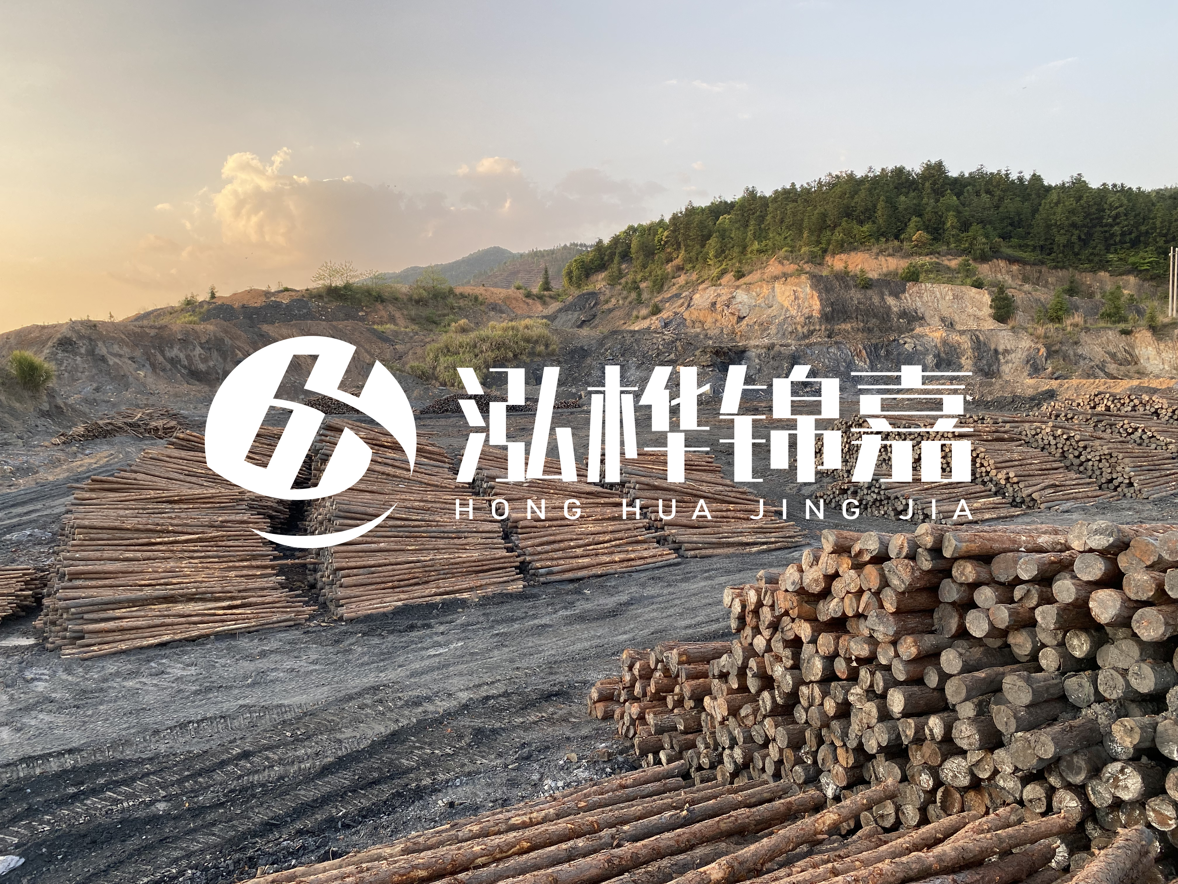松木樁地基承載力怎么檢測(cè)？