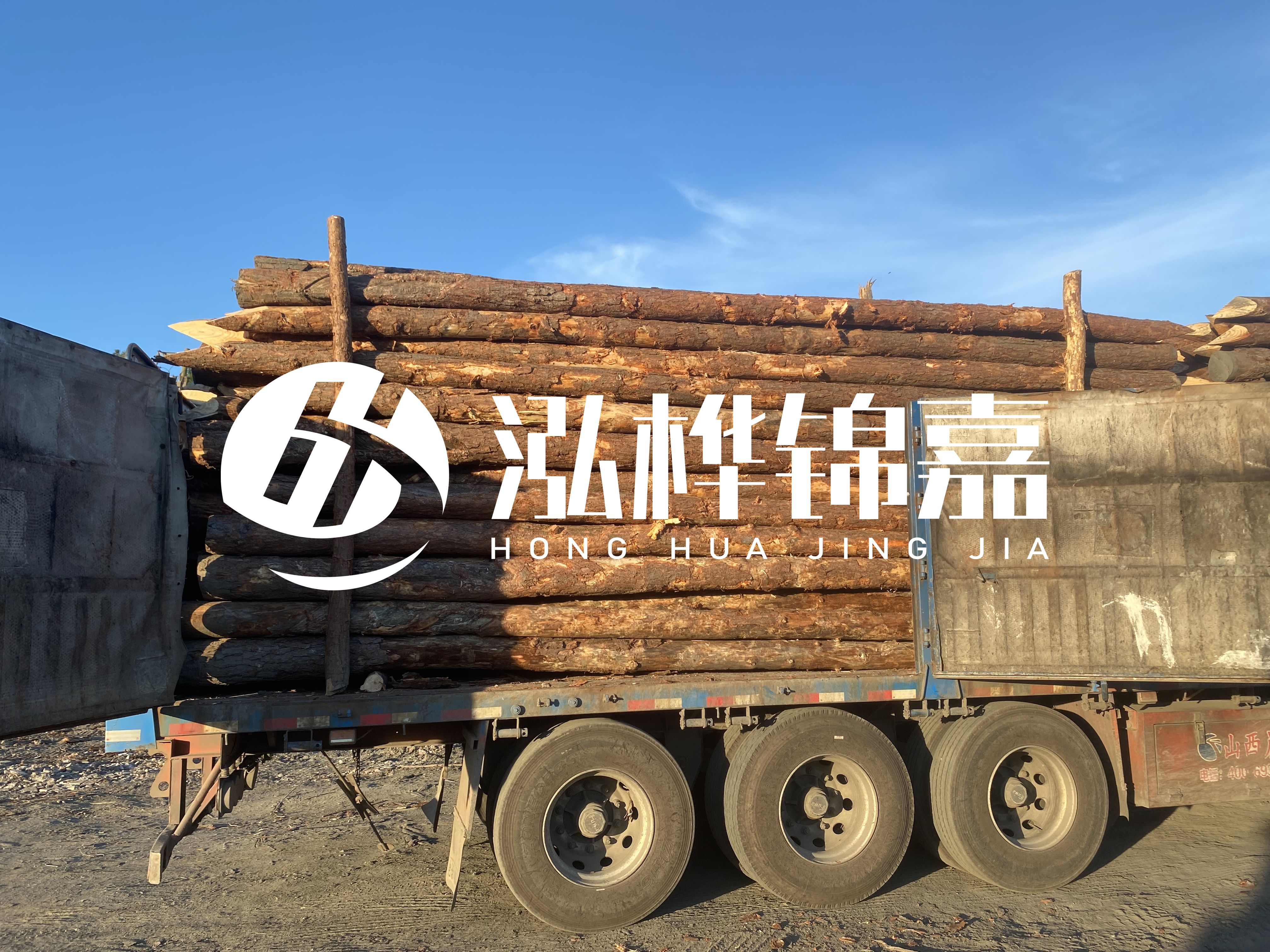 河道治理為什么要用松木樁？