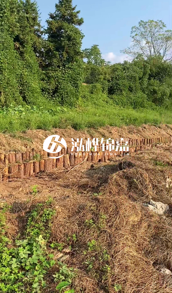 許昌河道清淤專業(yè)施工-河道污水治理要多長時間？