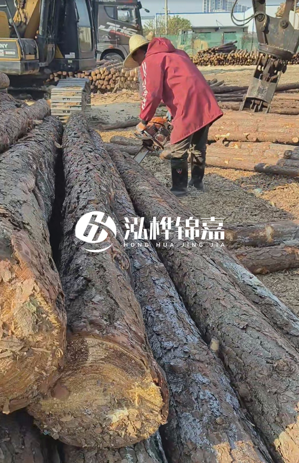 長沙打樁木批發(fā)廠家在哪里？聯(lián)系方式是什么？
