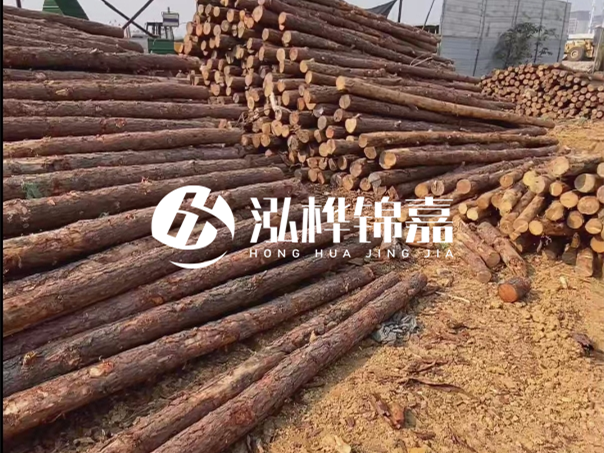 河道木樁施工遇到淤泥怎么辦？打多深才能防沖刷？