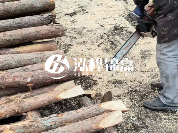 杉木樁批發(fā)廠家哪家好？產(chǎn)地直供渠道推薦！