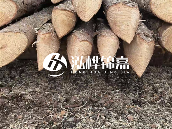 打樁木樁與鋼樁相比有哪些優(yōu)缺點？如何進行后期維護？