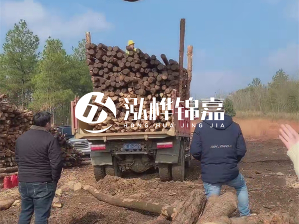 松木樁價(jià)格是按米算還是按根算？6米松木樁批發(fā)價(jià)每根多少錢？