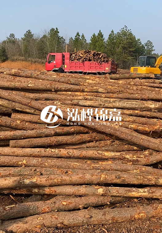 8米小頭11-13CM的松木樁價格是多少？打樁施工怎么算？