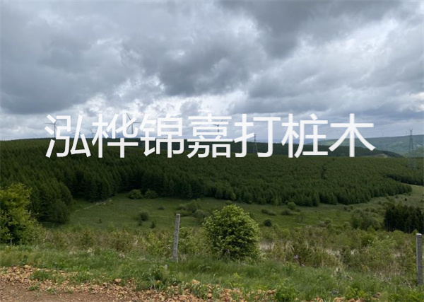松木樁能重復施工么？