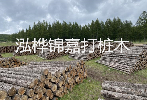 預(yù)制松木樁施工工藝：優(yōu)質(zhì)材料，高效快速，堅(jiān)固耐用