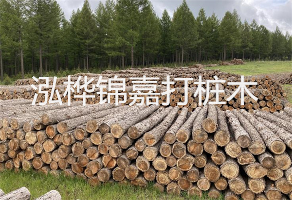松木樁能施工嗎？探究視頻揭秘真相！