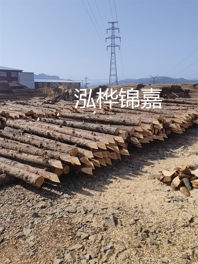 深入了解松木樁基礎(chǔ)施工單價，助力工程建設(shè)順利進行！