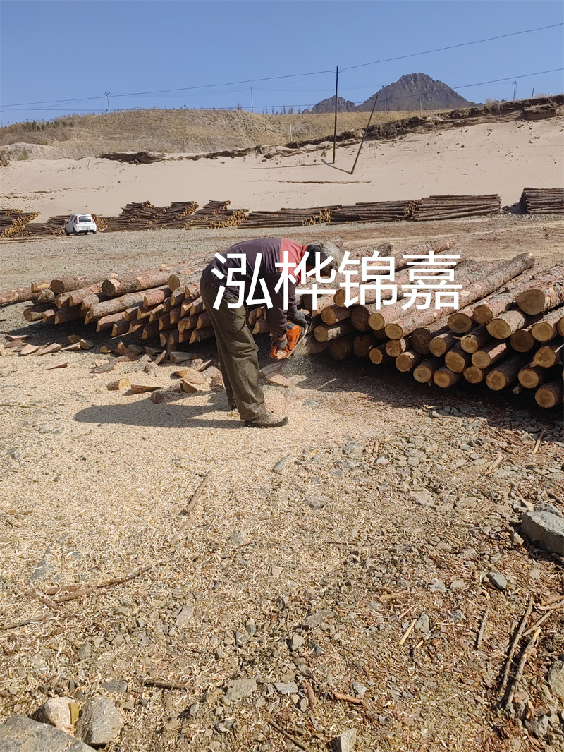 松木樁駁岸施工，打造水上風景線