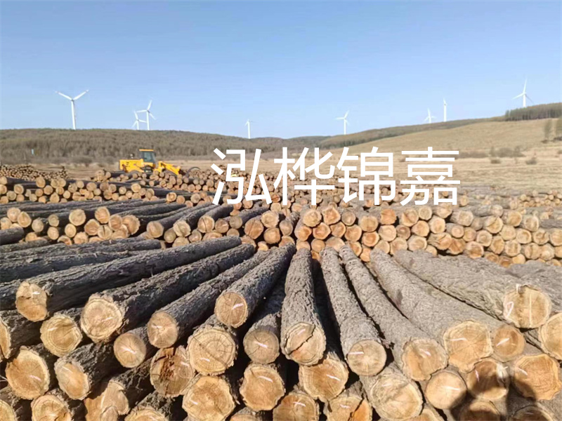 溫州松木樁施工廠家——為您打造堅(jiān)固穩(wěn)定的建筑基礎(chǔ)！