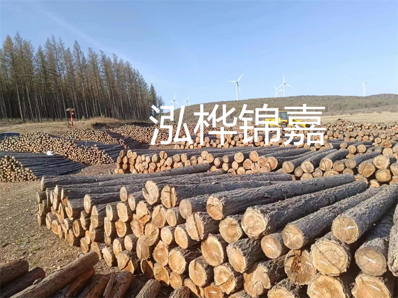 用路基松木樁施工方案提升工程質(zhì)量描述：了解路基松木樁施工方案的重要性，提高工程質(zhì)量關(guān)鍵詞：路基松木樁，施工方案，工程質(zhì)量