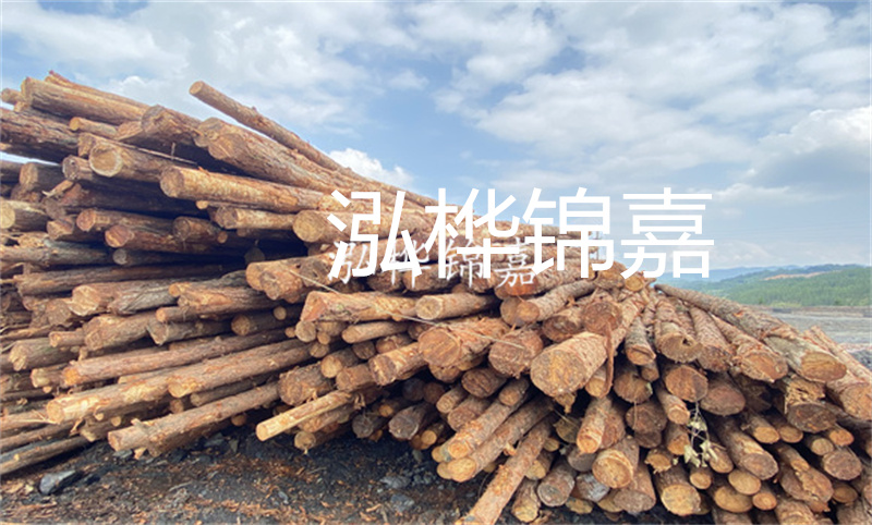 濮陽(yáng)松木樁，卓越品質(zhì)，安全可靠
