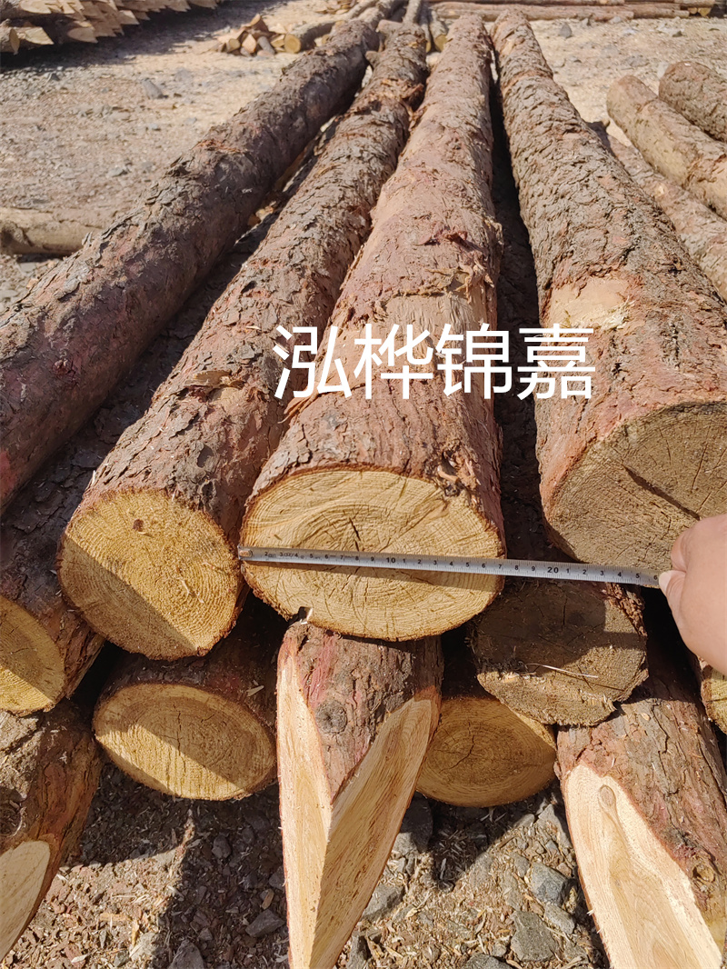 福建哪里買松木樁？